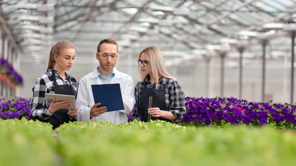 Professional Agronomy Farmer and Scientist Group Working Together at Greenhouse