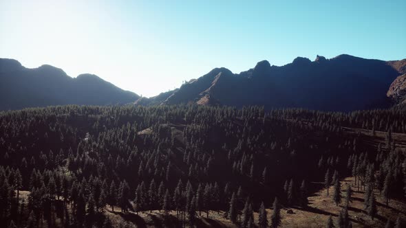 Wide Angle Shot of Mountains Landscape with Spring Forest