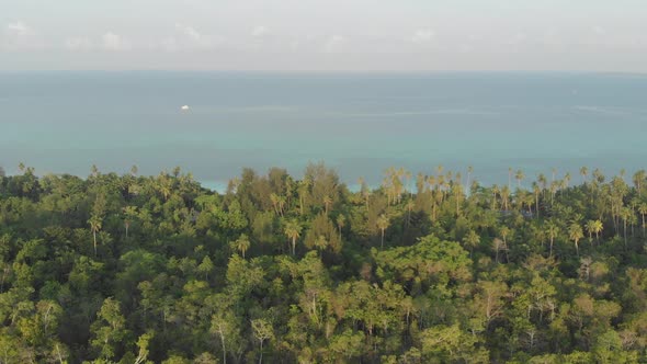 Aerial: uncontaminated coastline tropical beach caribbean sea coral reef atoll