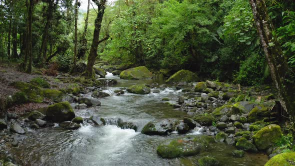 Aerial Drone View of River in Costa Rica Rainforest Scenery, Beautiful Nature with Water Flowing Thr