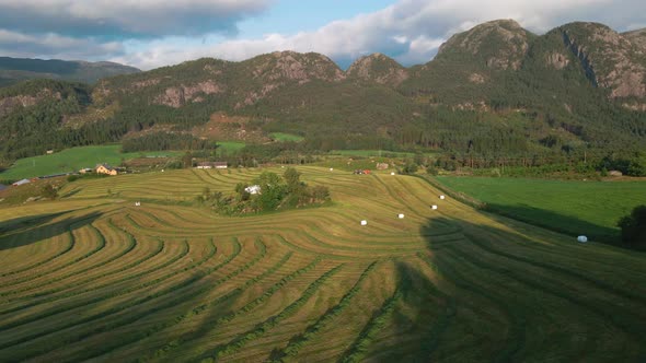 Farmland With Windrowed Grass, Hay Bales, And Tractor Working For Silage Production. aerial