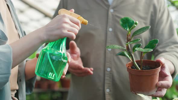 Close up of Woman Spraying Water on Plant