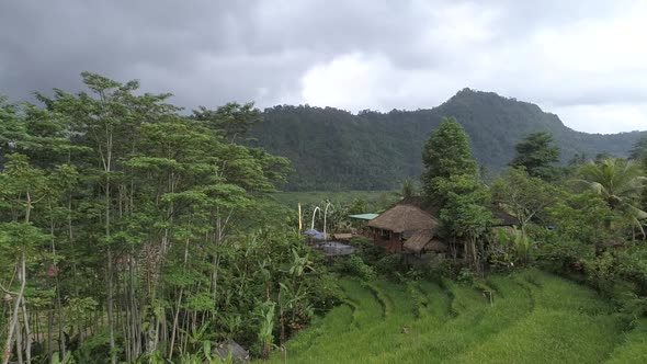 Aerial view of a cozy straw bungalow, Bali island, Indonesia.