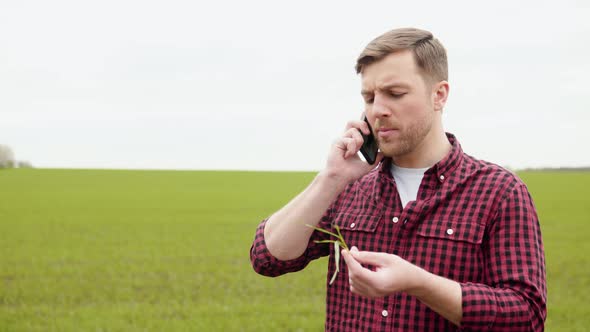 Young Farmer Talking on the Phone in the Green Wheat Field