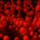 Corona Virus - VideoHive Item for Sale