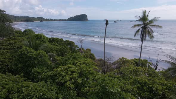 drone flight out of the jungle and on to the beach and the pacific ocean near playa playitas in cost