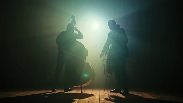 Silhouettes of Musicians Playing the Cello Double Bass on the Big Stage of the Concert Hall