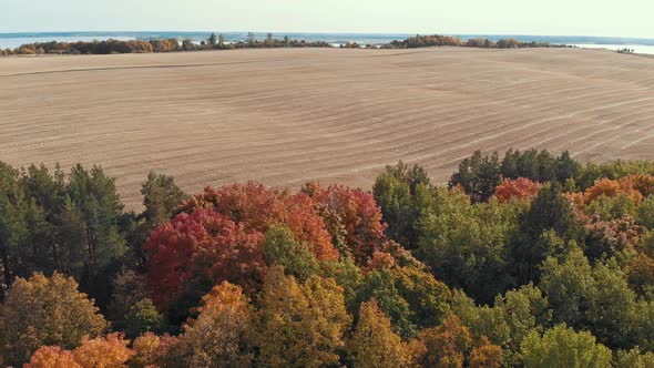 An Autumn View of Fields and Forest