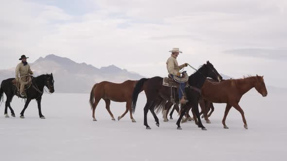 Horses walking with cowboys riding across salt flats.