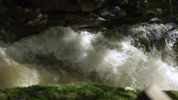 Top view of a stream in a dark forest.