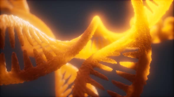 Loop Double Helical Structure of Dna Strand Close-up Animation alt