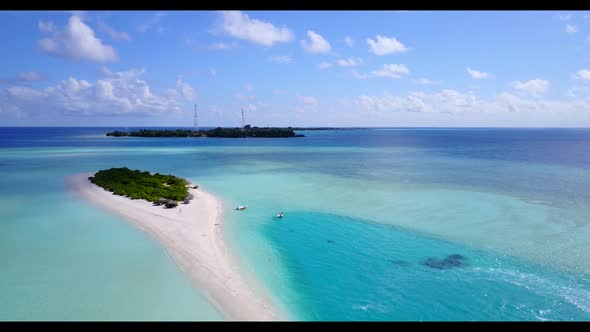 Aerial top down scenery of exotic resort beach wildlife by aqua blue ocean and white sand background