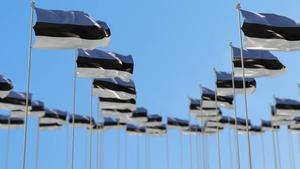 Estonia Row Of National flags Walk Throw Animation alt