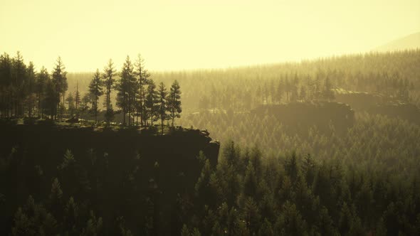 Misty Mountain Forest Landscape in the Morning