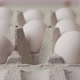 Hand picks up chicken eggs from a cardboard tray, side view - VideoHive Item for Sale