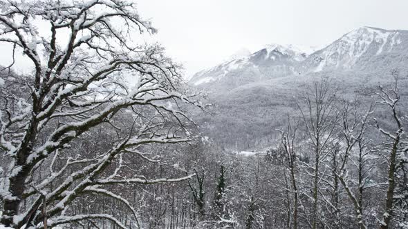 Winter Mountain Landscape The Rosa Khutor Alpine Resort Near Krasnaya Polyana Panoramic Background