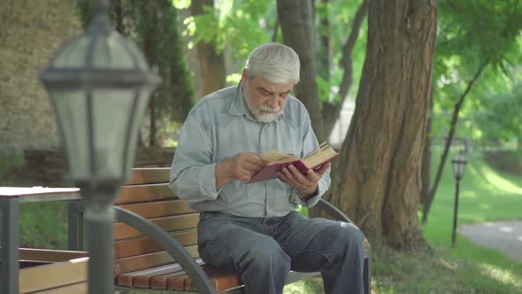 Portrait of Absorbed Senior Man Reading Book in Sunny Summer Park. Relaxed Caucasian Male Retiree