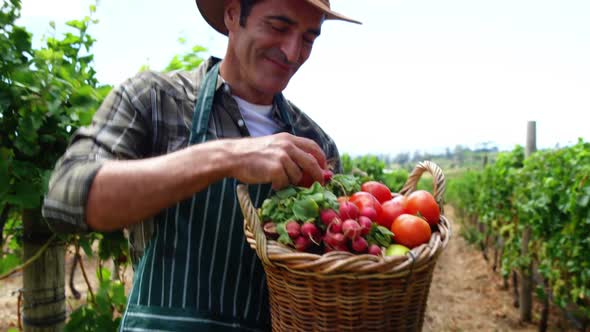 Farmer holding a fruits and vegetables basket