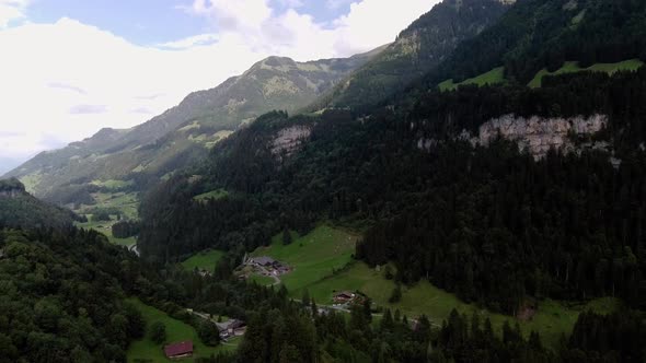 Flight over the fir trees in the valley