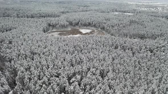AERIAL: Frozen Swamp in a Forest in Winter with Pines Covered with Snow