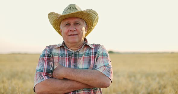Farmer on a Wheat Field