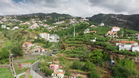 The Dramatic Beauty of Madeira Island with Exuberant Flora