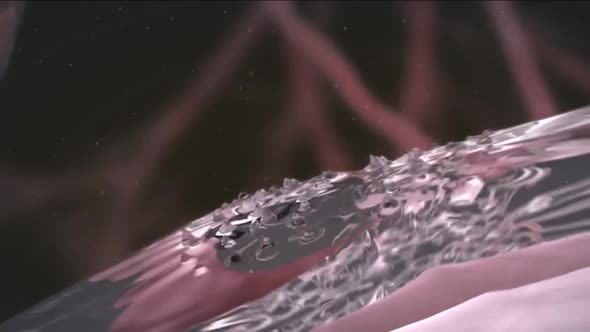 Angiogenesis. New blood vessels growing. 3D Rendering.