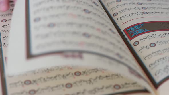 Quran Pages