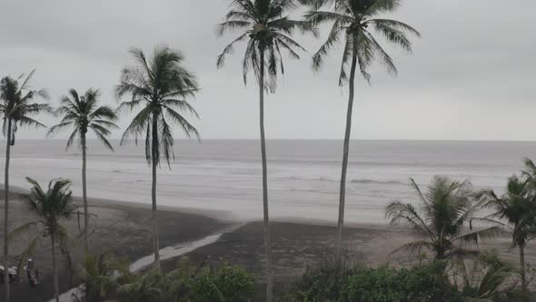 Empty Sandy Beach on Tropical Island with Palms