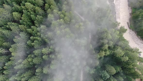 Aerial view of a mountain river and the trees covered with clouds