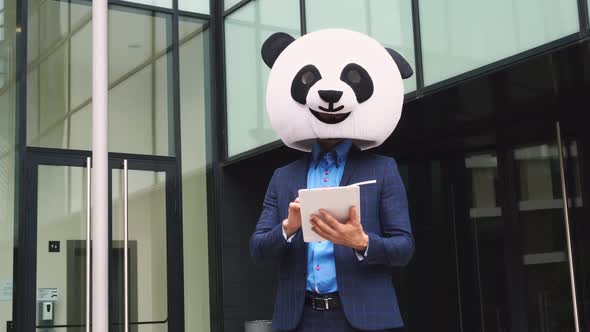 Businessman with panda head