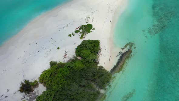 Aerial above scenery of tropical coastline beach wildlife by blue water with clean sandy background 