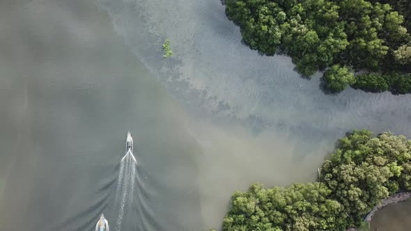 Aerial drone view boats pass mangrove trees