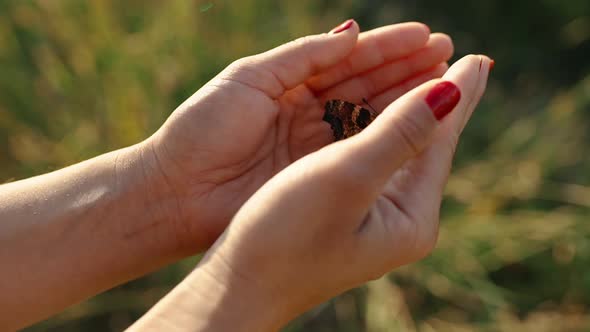 The Girl Holds a Butterfly in Her Hands Opening Her Hands Releases a Butterfly