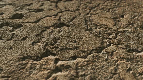 Closeup of Dirty Ground Road