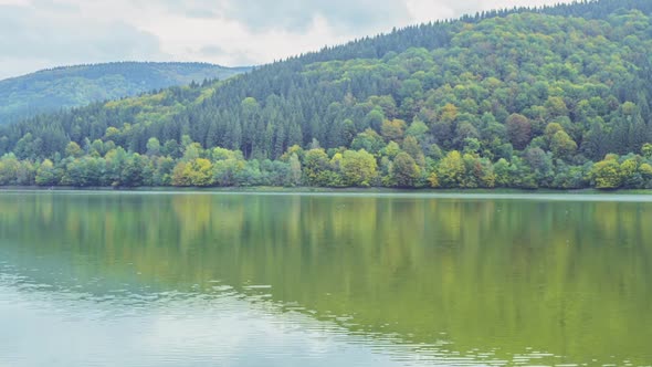 Forest Lake and Cloudiness