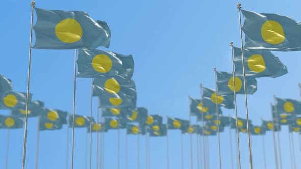 Palau Row Of National flags Walk Throw Animation