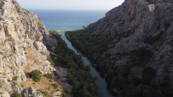 Palms Near Green River in Preveli Crete Island Greece