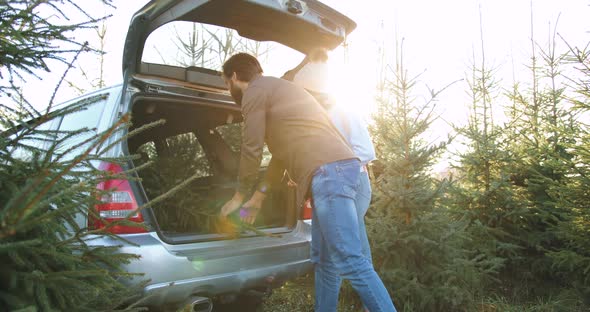 Man and Cute Woman in Bobble Hat which putting into car's trunk buyed fir tree