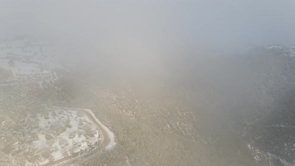 Winter Foggy Forest Snow Aerial View