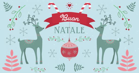 Animation of Buan Natale words with moving deers on Christmas decorations background