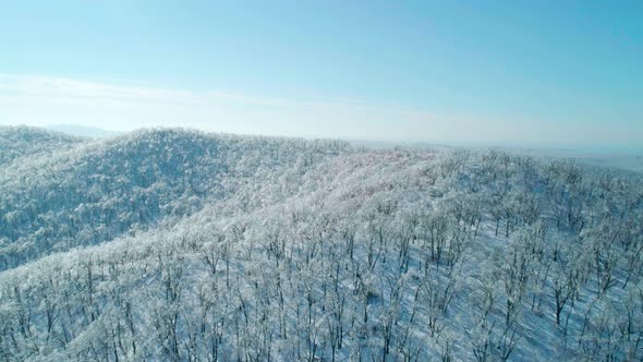 Aerial Winter Mountain Landscape of a Frozen Forest with Snow and Ice Covered Trees on a Sunny