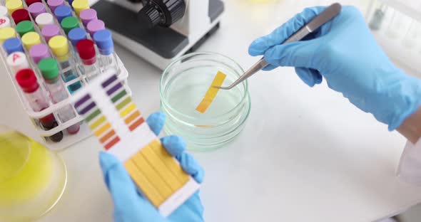 Biologist Checks PH Test By Chemical Alkaline Analysis in Laboratory