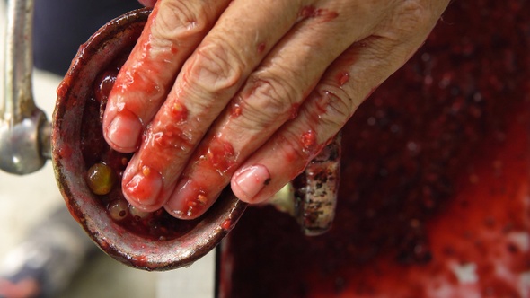 Man's hands chops summer berries for jam in grinder closeup