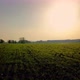Aerial Cinematic Clip Drone Flying Over a Farm Field During Sunset - VideoHive Item for Sale