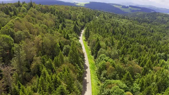 Aerial View Flying Over Two Lane Forest Road with Car Moving Green Trees of Woods Growing Both Sides