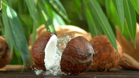 Super Slow Motion Shot of Water Splashing From Coconut at .