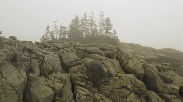 Dense fog pine trees beyond coastal rocky shoreline Western Head Preserve, Maine