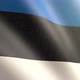 Flag of Estonia - VideoHive Item for Sale