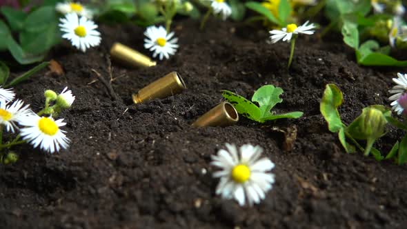 Bullet casings from a 5mm pistol fall to the ground and chamomile flowers. Slow motion.